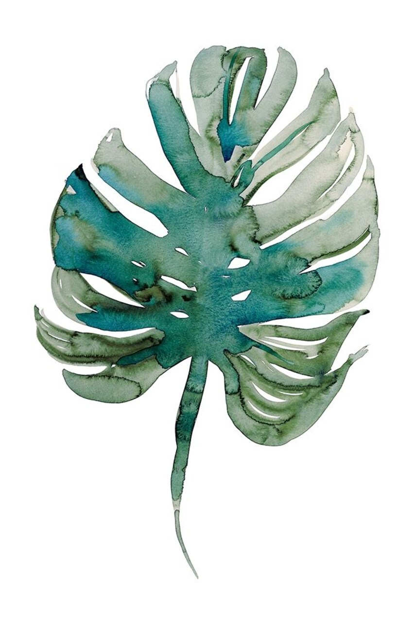 Monstera Poster Print by Marina Billinghurst - Item # VARPDXPOD60620